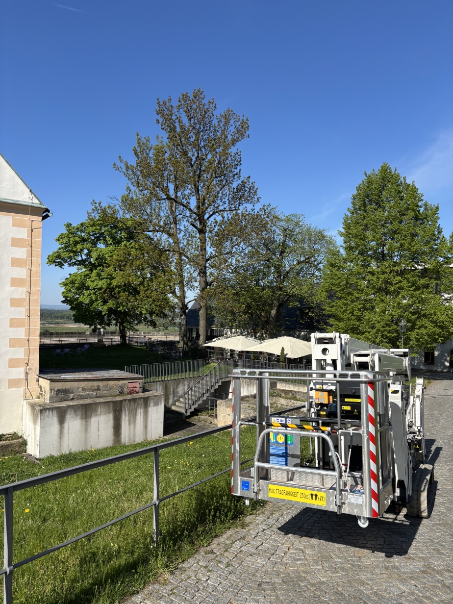 BLUELIFT SA 22 Raupenarbeitsbühne an der Festung Königstein